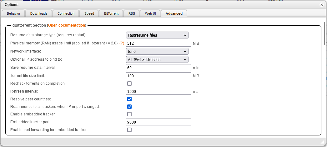 QbitTorrent advanced settings