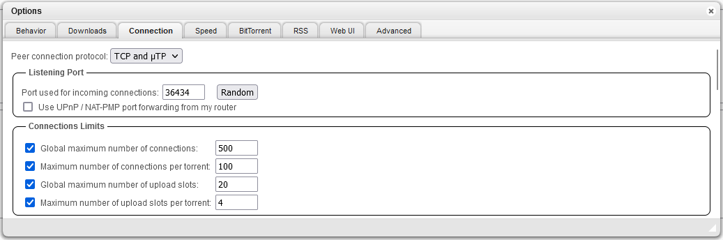 QbitTorrent Connection settings